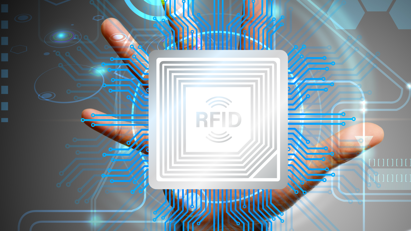 What Are the Different Types of RFID Tags?